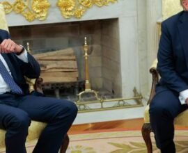 donald trump und zolle deutschland setzt auf harten kurs im handelskonflikt fkHkhAdj