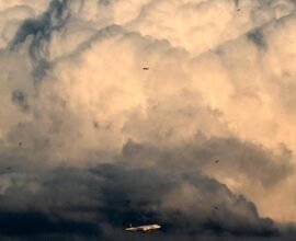 flugunternehmen lufthansa verzeichnet deutliche gewinne im zweiten quartal WlN8Qtz7