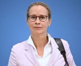 umfrage zu richterwahl knappe h lfte meint union sollte frauke brosius gersdorf w hlen kCyV9WQ4