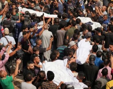 forderung privater solaranlagen solarbranche und grune kritisieren reiches vorsto zu solaranlagen LS7YJmBQ