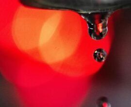 hitze wasserversorger rechnen wegen trockenheit mit mehr engp ssen Pkv6YaJj