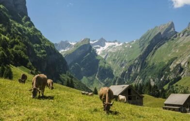 us zolle gegen die schweiz pillen gold und der starke franken Xx677htv