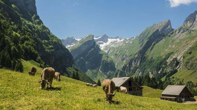 us zolle gegen die schweiz pillen gold und der starke franken